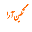 شرکت نگین آرا
